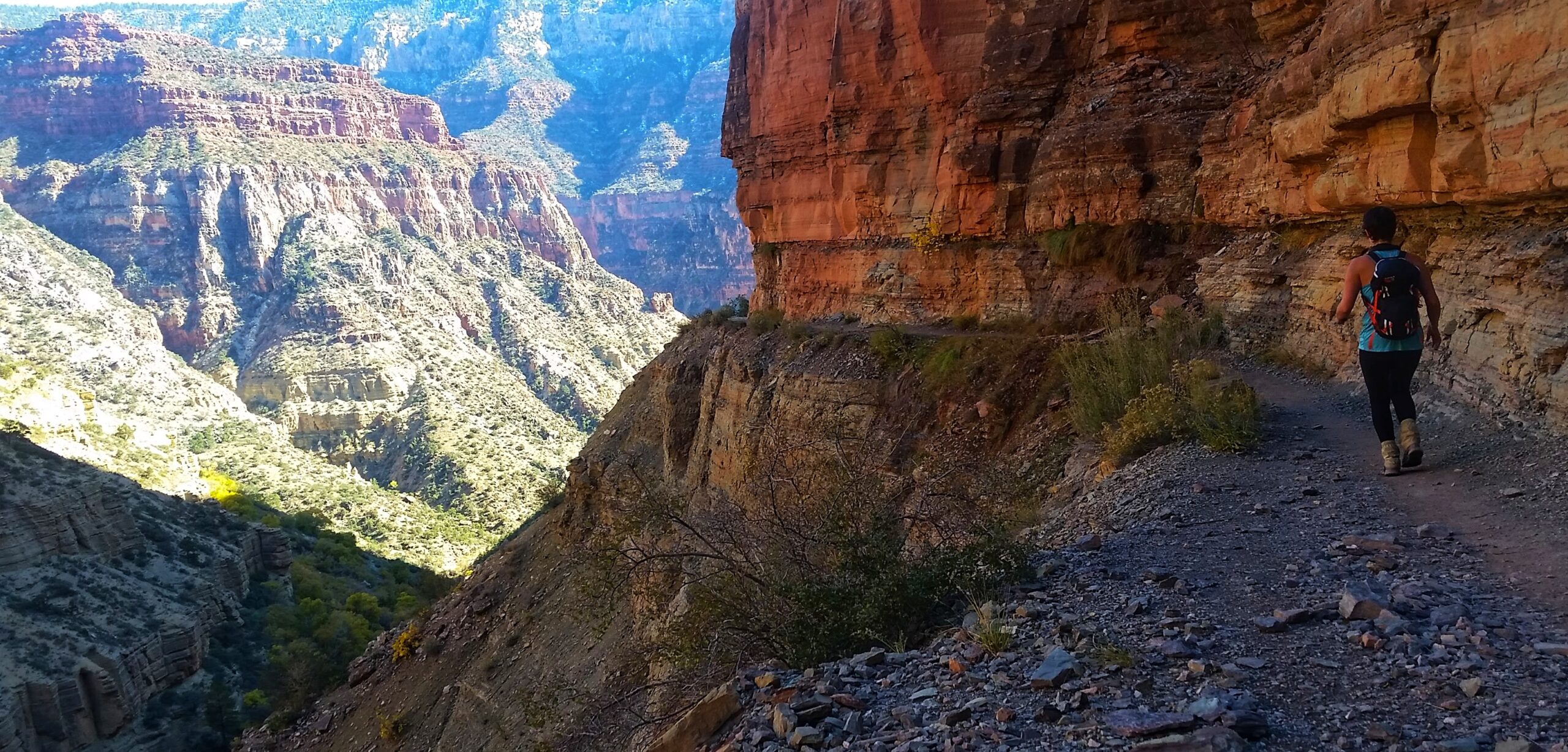 Betsy running away from the camera in the Grand Canyon, surrounded by red rocks.